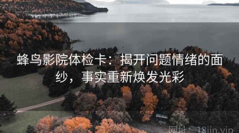 蜂鸟影院体检卡：揭开问题情绪的面纱，事实重新焕发光彩