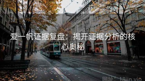 爱一帆证据复盘：揭开证据分析的核心奥秘