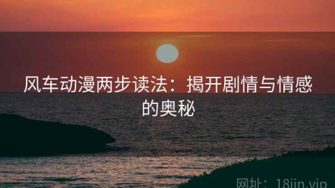 风车动漫两步读法：揭开剧情与情感的奥秘