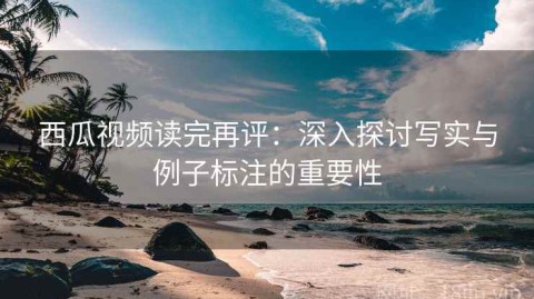 西瓜视频读完再评：深入探讨写实与例子标注的重要性