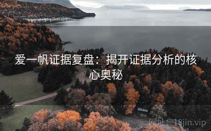 爱一帆证据复盘:揭开证据分析的核心奥秘 爱一帆证据复盘:揭开证据分析的核心奥秘