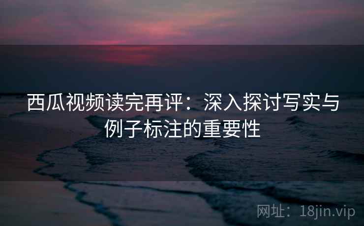 西瓜视频读完再评：深入探讨写实与例子标注的重要性