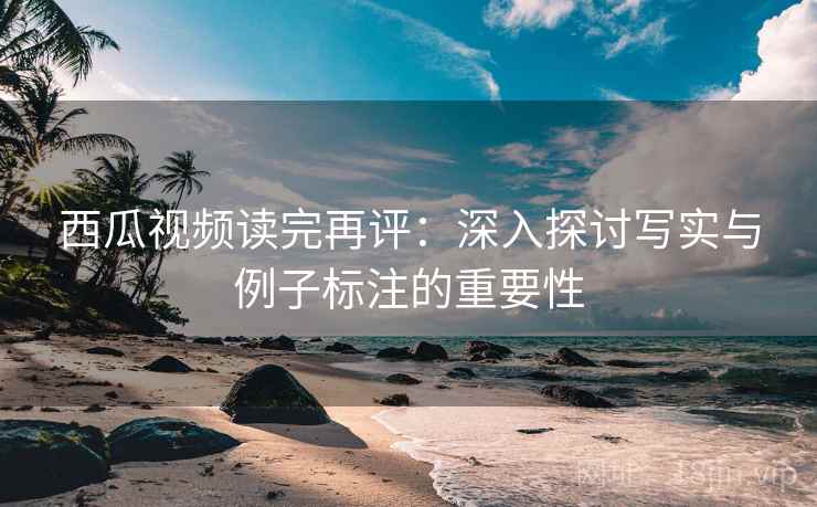 西瓜视频读完再评：深入探讨写实与例子标注的重要性